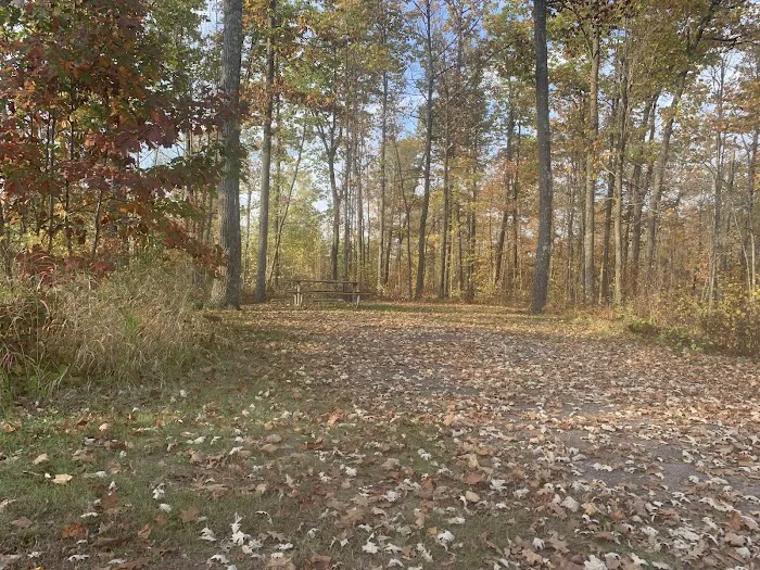 Boulder Campground Picture 4