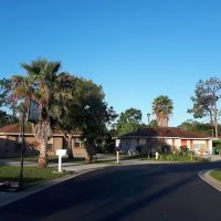 Tall Oaks of Naples ico