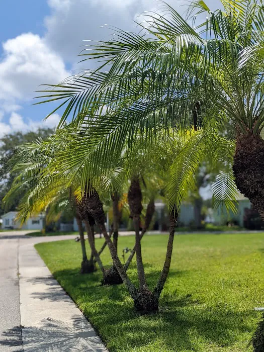 Tall Oaks of Naples Picture 4