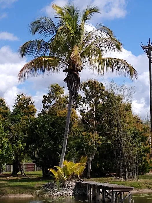 Naples Mobile Home & RV Park Picture 5