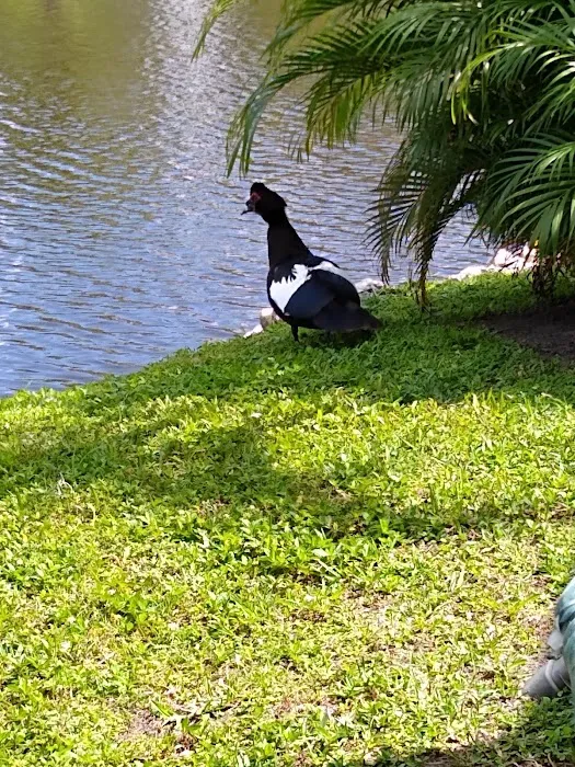 Naples Mobile Home & RV Park Picture 8