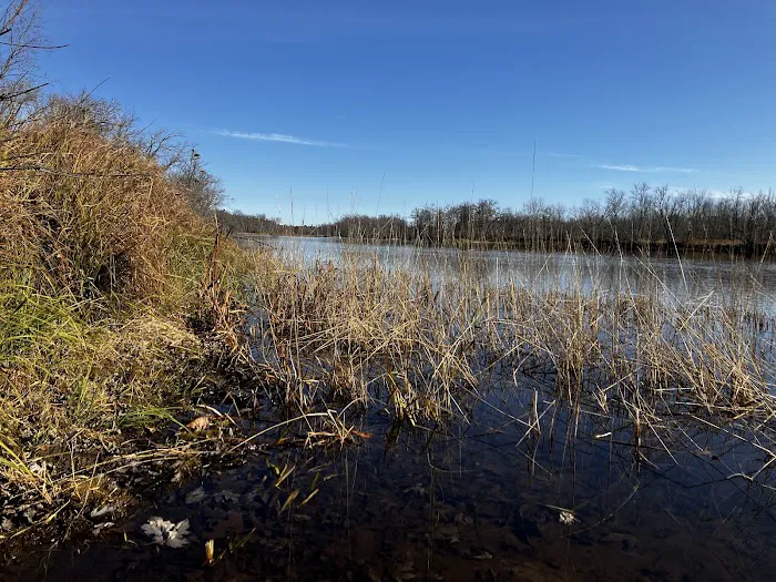 Little Yellow Banks Landing Picture 7