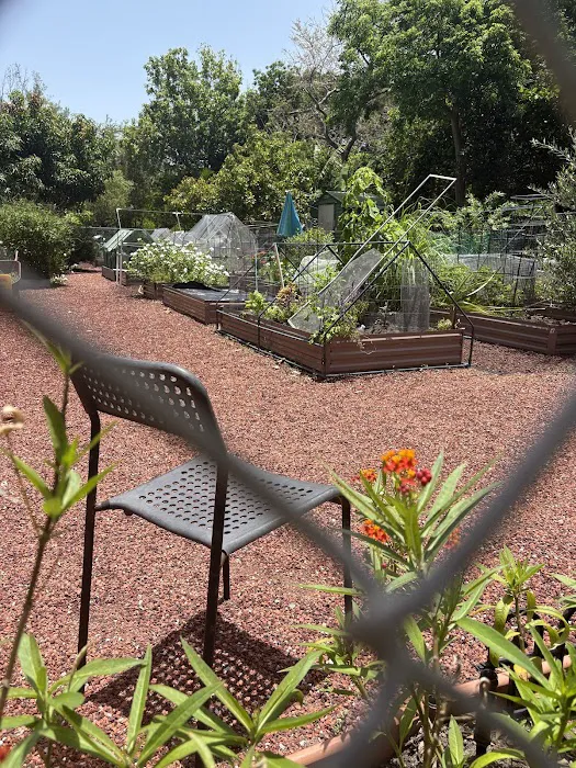 Pine Tree Park Picture 2