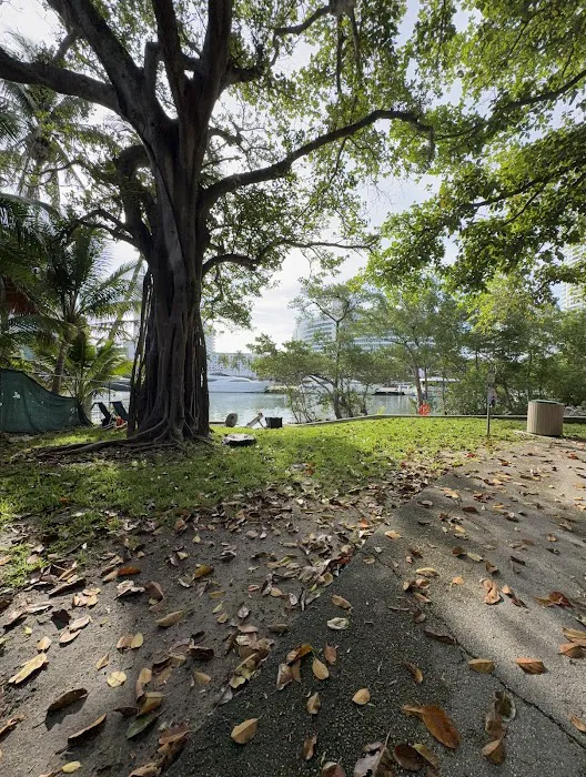 Pine Tree Park Picture 4