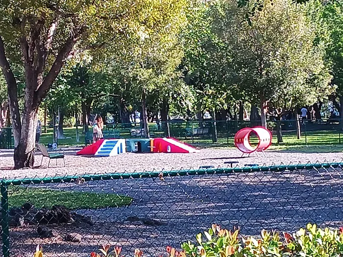 Pine Tree Park Picture 8