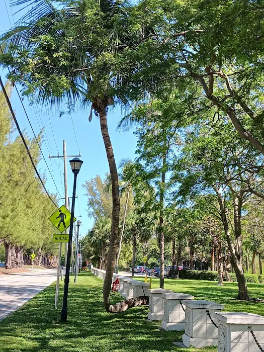 Pine Tree Park Picture 5