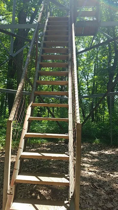 Paint Rock Spring Campground Picture 2