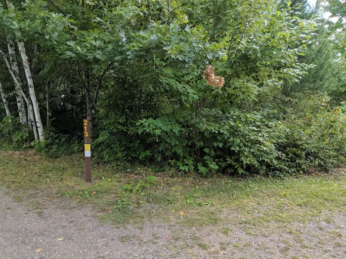 Old Logging Trail Campground Picture 9