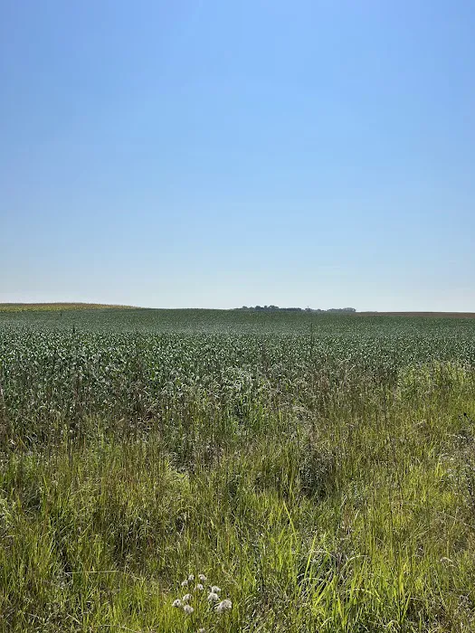 Plum Creek Campground & RV park Picture 4