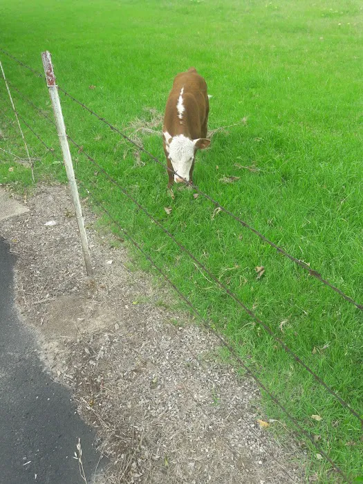 Parkerville East Mobile Home Park Picture 2