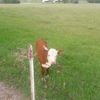 Parkerville East Mobile Home Park ico