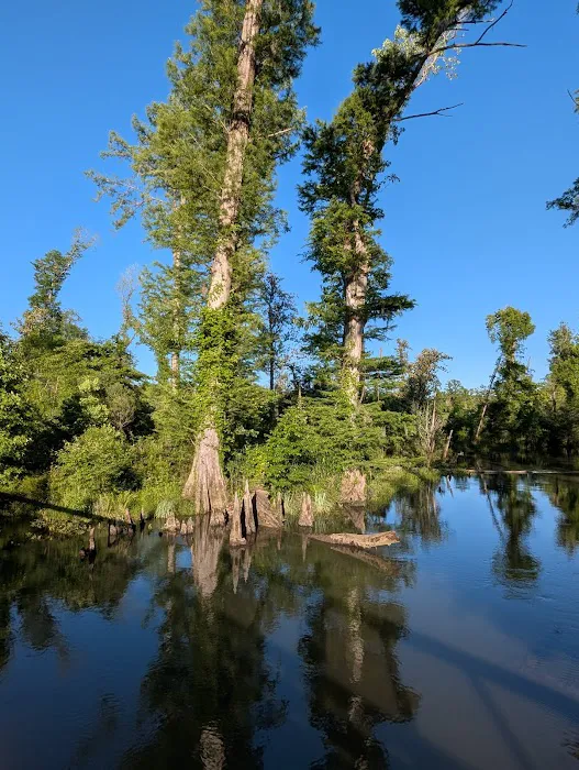 Blue Hole Campground Picture 7