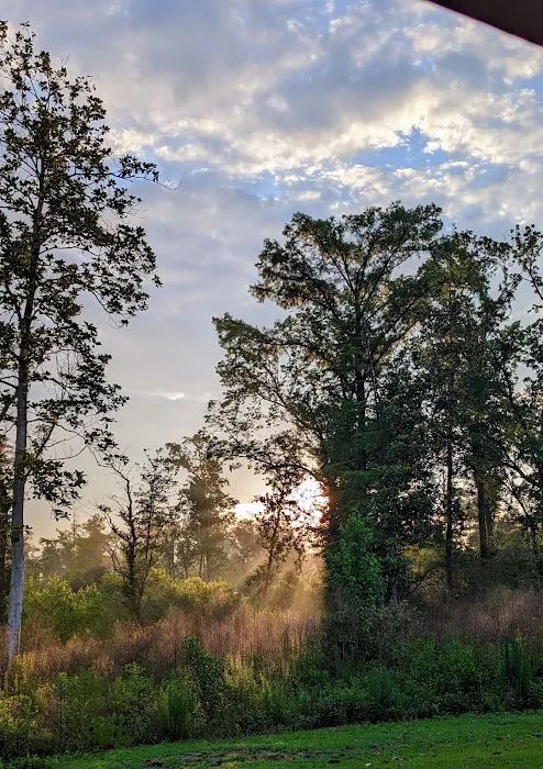 Blue Hole Campground Picture 9