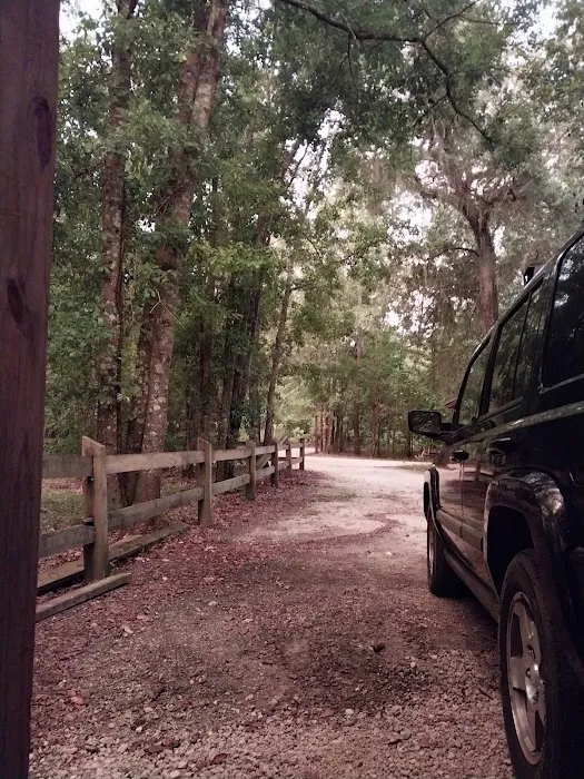 Christoff Landing Campsite Picture 7