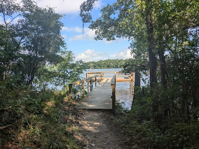 Hall Landing Campground Picture 8