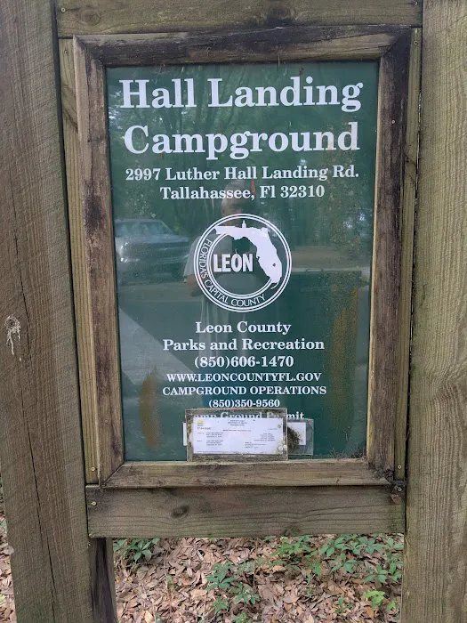 Hall Landing Campground Picture 2