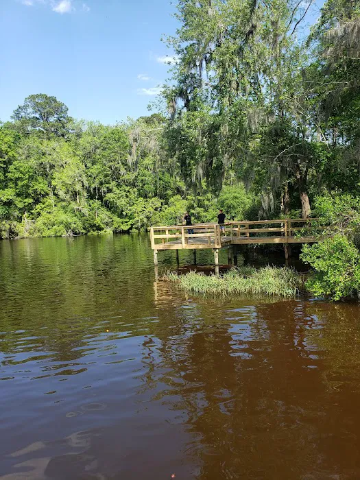 Hall Landing Campground Picture 6