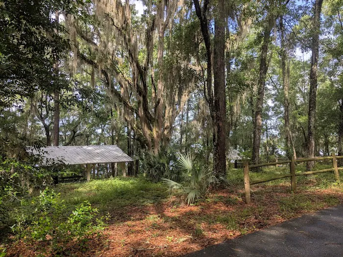 Hall Landing Campground Picture 3