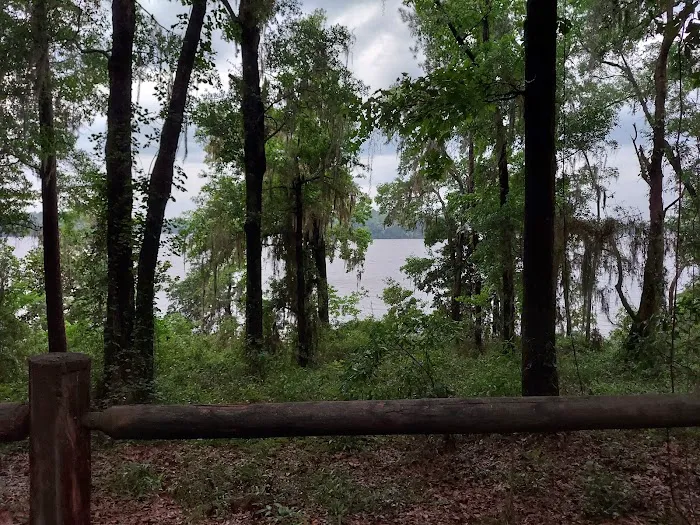 Hall Landing Campground Picture 9