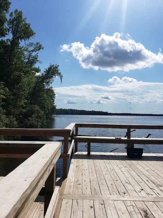 Hall Landing Campground Picture 4