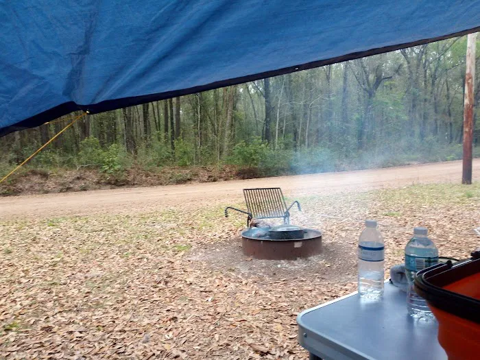 High Bluff Campground Picture 6