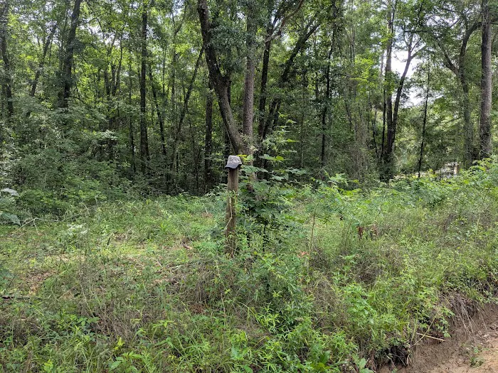 High Bluff Campground Picture 3