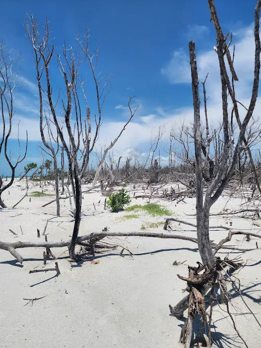 Cayo Costa Picture 3