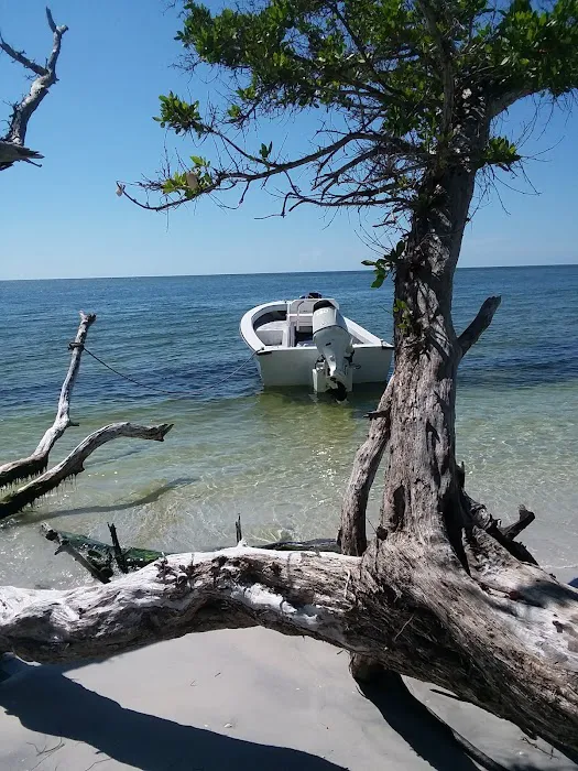 Cayo Costa Picture 10