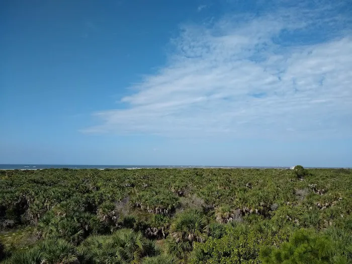 Cayo Costa Picture 7