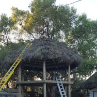 Big Cypress Indian Reservation ico