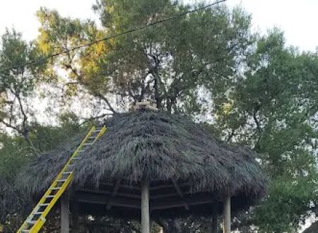 Big Cypress Indian Reservation