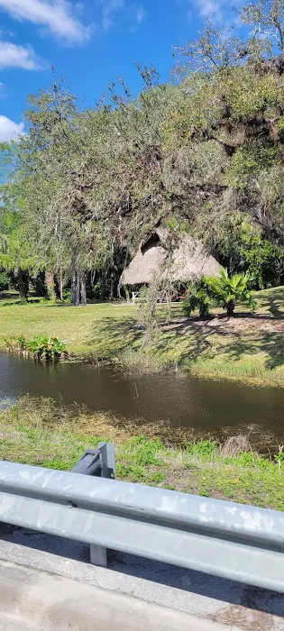 Big Cypress Indian Reservation Picture 2