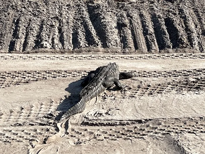 Big Cypress Indian Reservation Picture 4