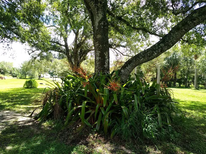 Sunnier Palms Nudist Park and Campground Picture 6