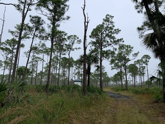 Kitching Creek Campground Picture 1