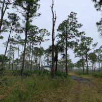 Kitching Creek Campground ico