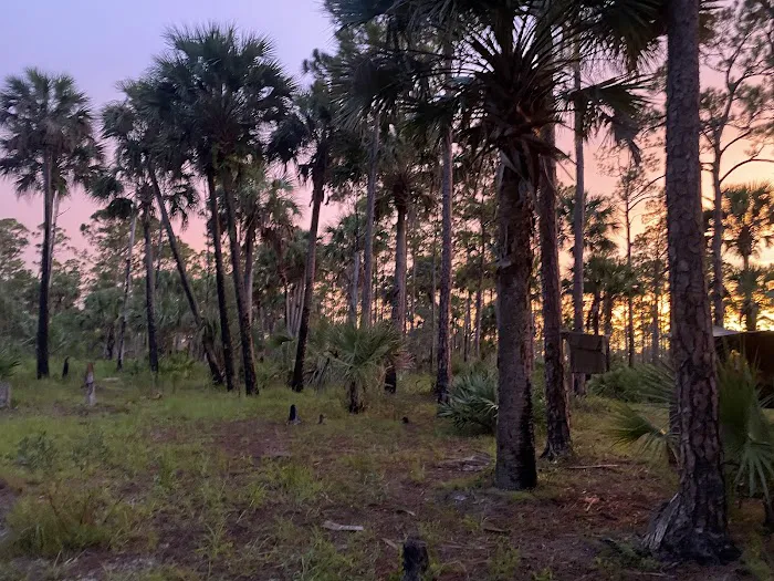 Kitching Creek Campground Picture 6