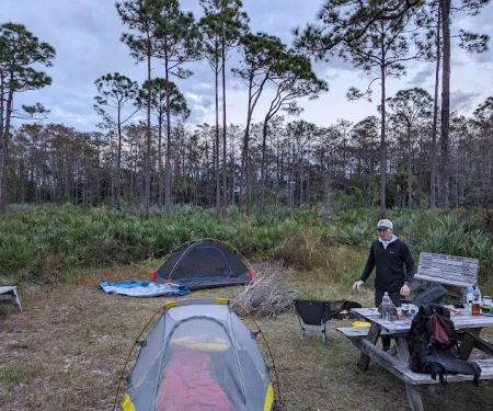Scrub Jay Campsite
