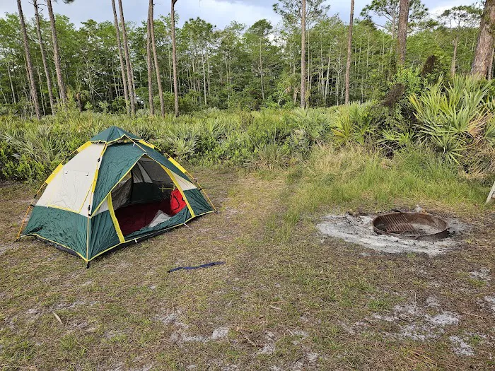Scrub Jay Campsite Picture 5