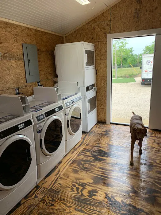 Flying Pig RV Park Picture 1