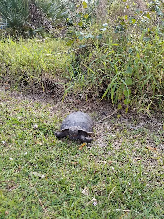 Jonathan Dickinson State Park River Campground Picture 7