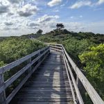 Jonathan Dickinson State Park River Campground