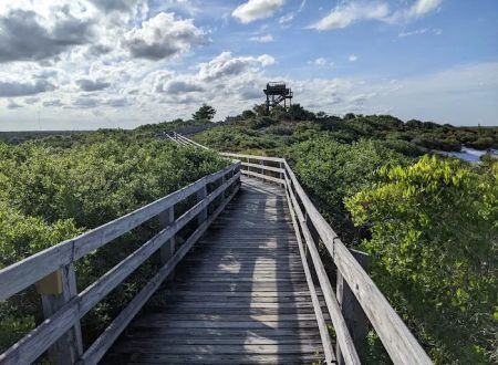 Jonathan Dickinson State Park River Campground