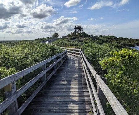 Jonathan Dickinson State Park River Campground