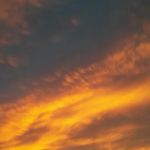 Country Acres Mobile Home Park