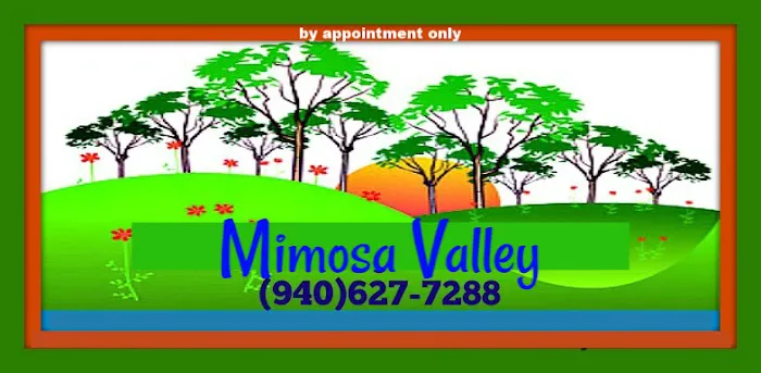 MIMOSA VALLEY RV PARK Decatur TX Gated LONG-TERM RV parking BY APPOINTMENT Picture 6