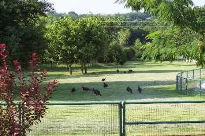 Double Duty Ranch RV Park Decatur TX (GATED) BY APPOINTMENT ONLY Picture 8