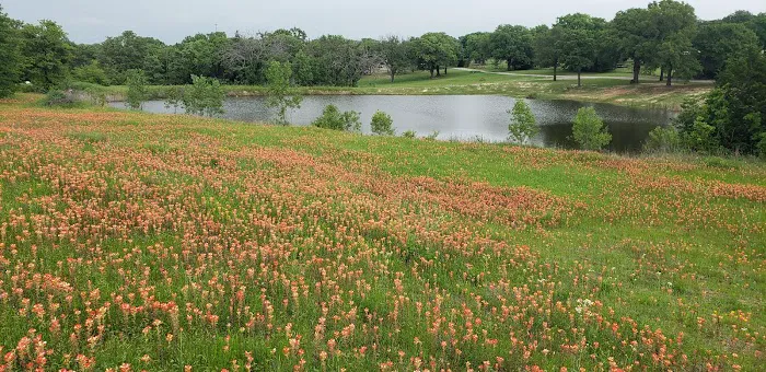 Brushy Creek RV Park Picture 3