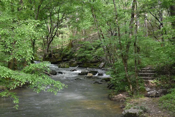 Sylamore Ranger District Office Picture 4