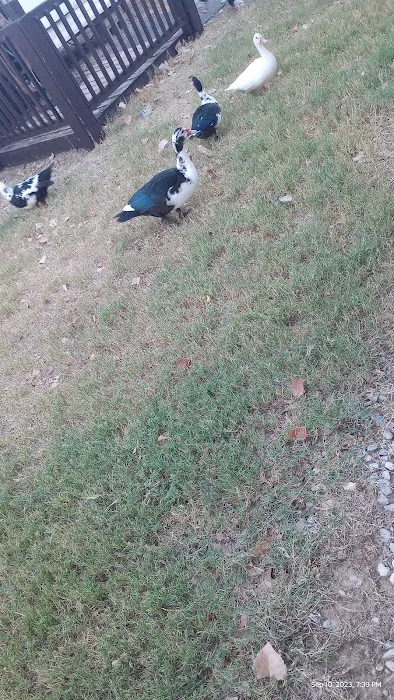 Boyd RV Park Picture 10